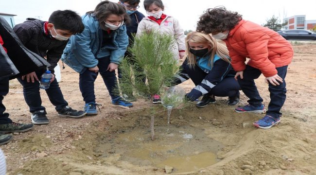 Merkezefendi Belediyesi'nden 'yeşil' atılım