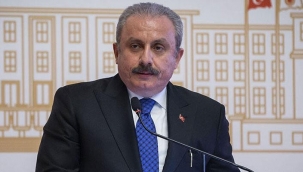 TBMM Başkanı Şentop: Bin 300'e yakın dokunulmazlık dosyası var