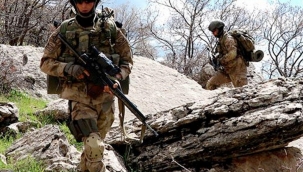 Terör örgütüne ağır darbe! Sözde Mardin sorumlusu etkisiz hale getirildi