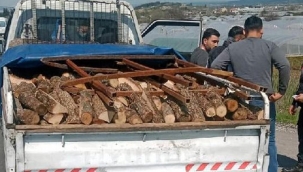 Yaşlı kadının bir çeyrek altını ile 2 bin 900 lirasını gasp eden şüpheliler yakalandı