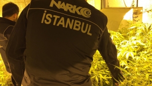 Beykoz'da uyuşturucu serasına çevrilen daireye baskın