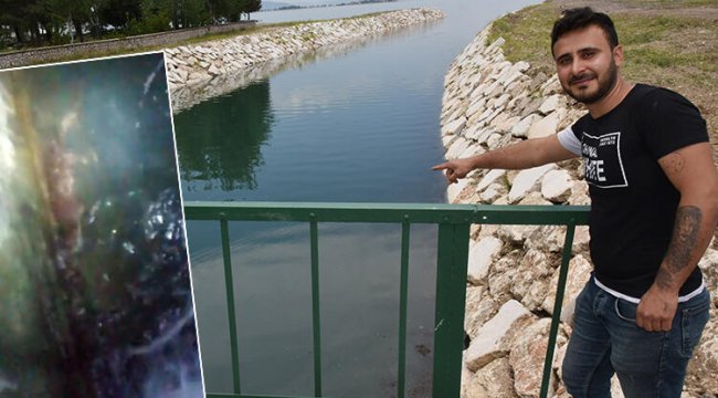 Eğirdir Gölü'ndeki su samuru görüntüsü şaşırttı