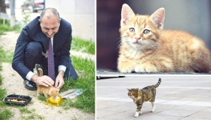 Bakan Gül paylaştı: Geri sayım başladı