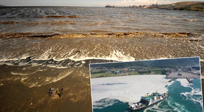Balıkesir'de korkutan görüntü! Müsilajın ardından... 'Denize girmek intihar gibi..'