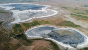 Flamingo cennetiydi, kurudu! '180 kuş türü vardı, şu anda bir tane bile yok'