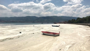 Marmara’yı kurtarma planı