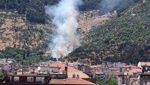 Spil Dağı'nda orman yangını