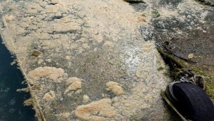 Ve deniz salyası kâbusu Karadeniz'de de görüldü..
