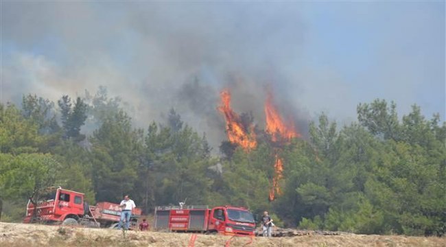 Manisa'nın iki ilçesinde orman yangını