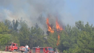 Manisa'nın iki ilçesinde orman yangını