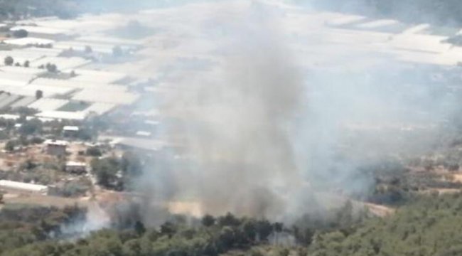 Muğla Seydikemer'de orman yangını