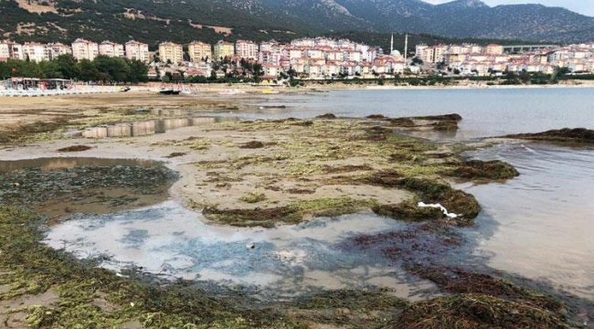 Eğirdir alarmı! 'Parmağınızı dahi sokmayın'