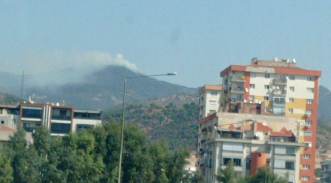 İzmir'de orman yangını