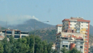 İzmir'de orman yangını