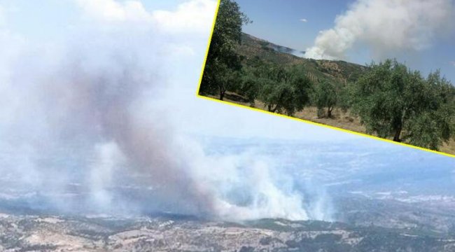 Manisa'da orman yangını! Çok sayıda ekip sevk edildi