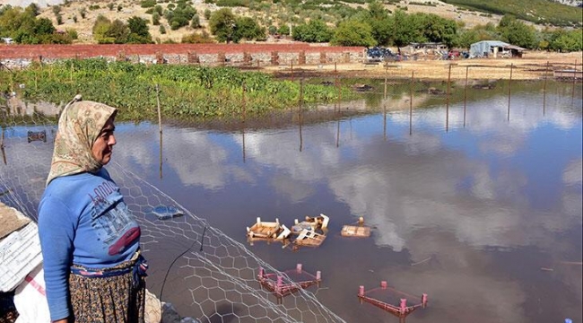 Muğla'da şiddetli yağış; tarım arazilerini su bastı
