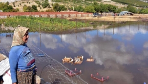 Muğla'da şiddetli yağış; tarım arazilerini su bastı