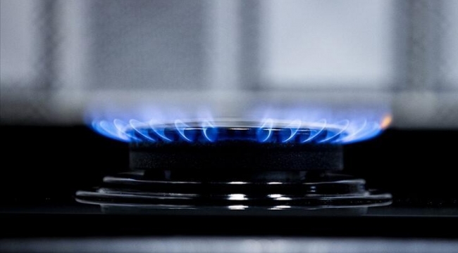 Bakan Dönmez'den doğal gaz açıklaması