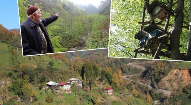 Bal ormanına taş ocağı için bilirkişi raporu: Ekolojik denge yok olur