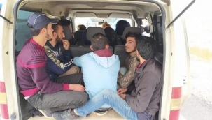 Konya'da minibüste 12 kaçak göçmen yakalandı