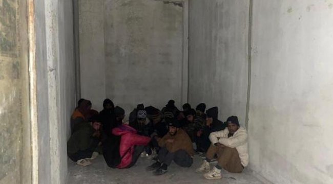 Van'da kaçak göçmen operasyonu