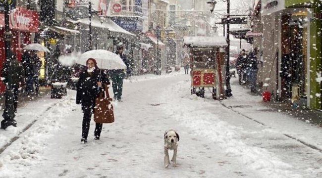 Bartın'da 28 köy yolu kardan kapandı, 55 köyde elektrik yok