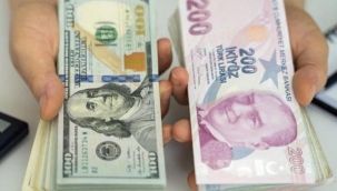 Dövize endeksli TL mevduatının detayları belli oldu