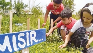 Tarım izcileri