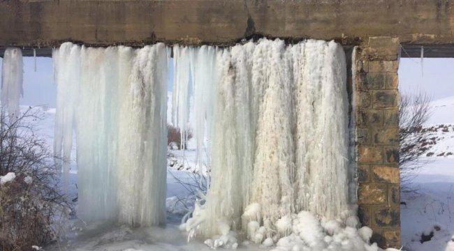 Hava sıcaklığı eksi 20'ye düşünce...