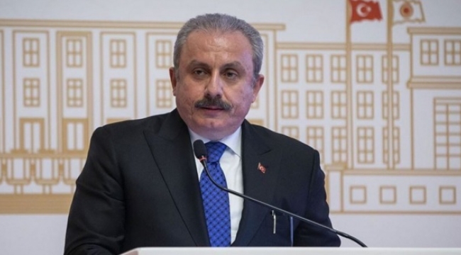 Şentop'tan HDP'li Semra Güzel yorumu: Gereği yapılmalıdır