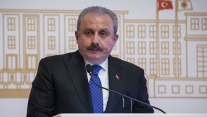 Şentop'tan HDP'li Semra Güzel yorumu: Gereği yapılmalıdır