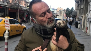 Taksim'de şaşkına çeviren anlar! Tasma taktığı gelincikle gezdi