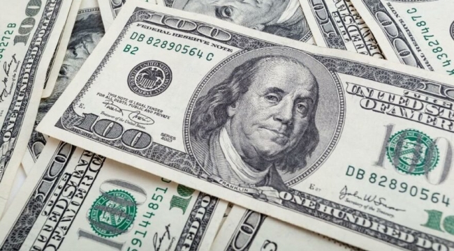TÜİK açıkladı: 2021’de en çok dolar kazandırdı