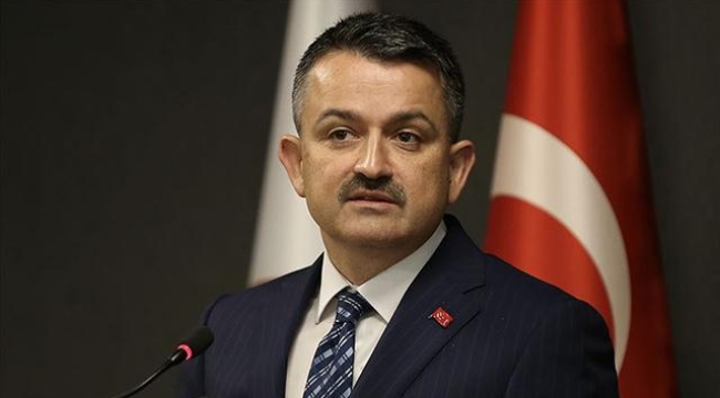 Bakan Pakdemirli: 81 ilde millet ormanları tesis edeceğiz