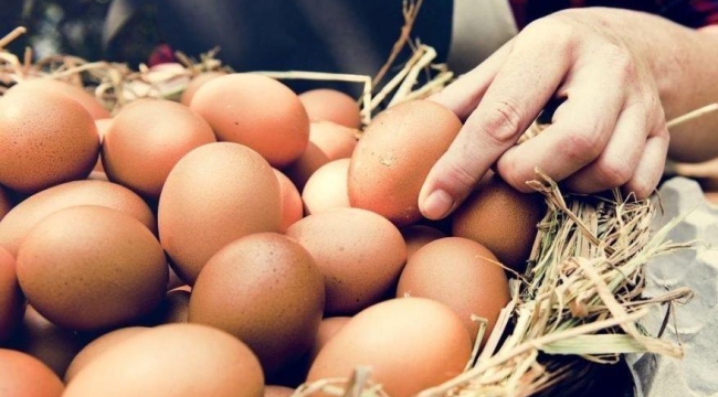 Ticaret Bakanlığı’ndan yumurta işletmelerine müfettiş