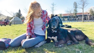 Kampusta köpek tartışması