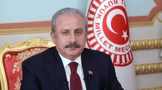 Şentop: Polonya'yı en iyi anlayan Türkiye'dir