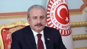 Şentop: Polonya'yı en iyi anlayan Türkiye'dir