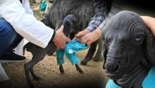 Görüntüsüyle herkesi şaşırtmıştı! Nedeni ortaya çıktı