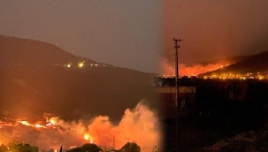 Hatay'da orman yangını! Saatlerdir sürüyor, yerleşim bölgesi tehdit altında