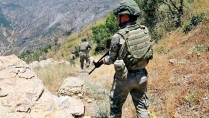 Pençe Kilit'te 81 mağara 94 ağır silah ele geçirildi