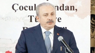 ‘TBMM hem kurucu hem kurtarıcıdır’