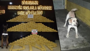 140 kilo eroinle yakalanan TIR şoförü: Para tatlı geldi