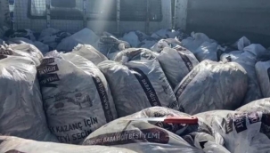 2.5 ton kaçak avlanmış inci kefali ele geçirildi