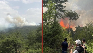 Bolu’da orman yangını! Çok sayıda ekip sevk edildi