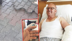 Bursa’da elini yılan ısırdı! Yılanı poşete koyarak hastaneye koştu