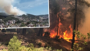 Hatay ve Burdur'da orman yangını! Dumanlar kilometrelerce uzaklıktan görülüyor