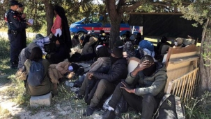 İzmir'de 63 kaçak göçmen yakalandı