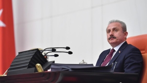 TBMM Başkanı Şentop'tan 'Anneler Günü' mesajı