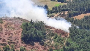 Çanakkale'de orman yangını! Havadan ve karadan müdahale ediliyor